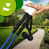 KIJKI DO NORDIC WALKING KIJE DO CHODZENIA PO GRÓRACH REGULOWANE TREKKINGOWE