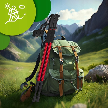 KIJKI DO NORDIC WALKING KIJE DO CHODZENIA PO GRÓRACH REGULOWANE TREKKINGOWE