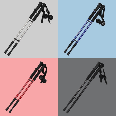 KIJKI DO NORDIC WALKING KIJE DO CHODZENIA PO GRÓRACH REGULOWANE TREKKINGOWE